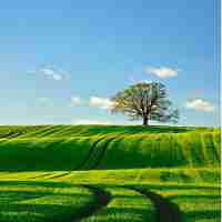 人‍工​神​经‍网‍络‍智‌能​系‌统​的​例‌子﻿